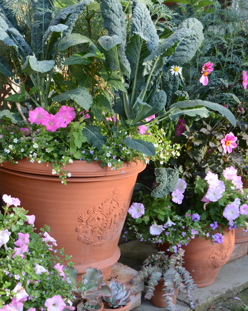 William Morris Range Love Birds Terracotta Pot