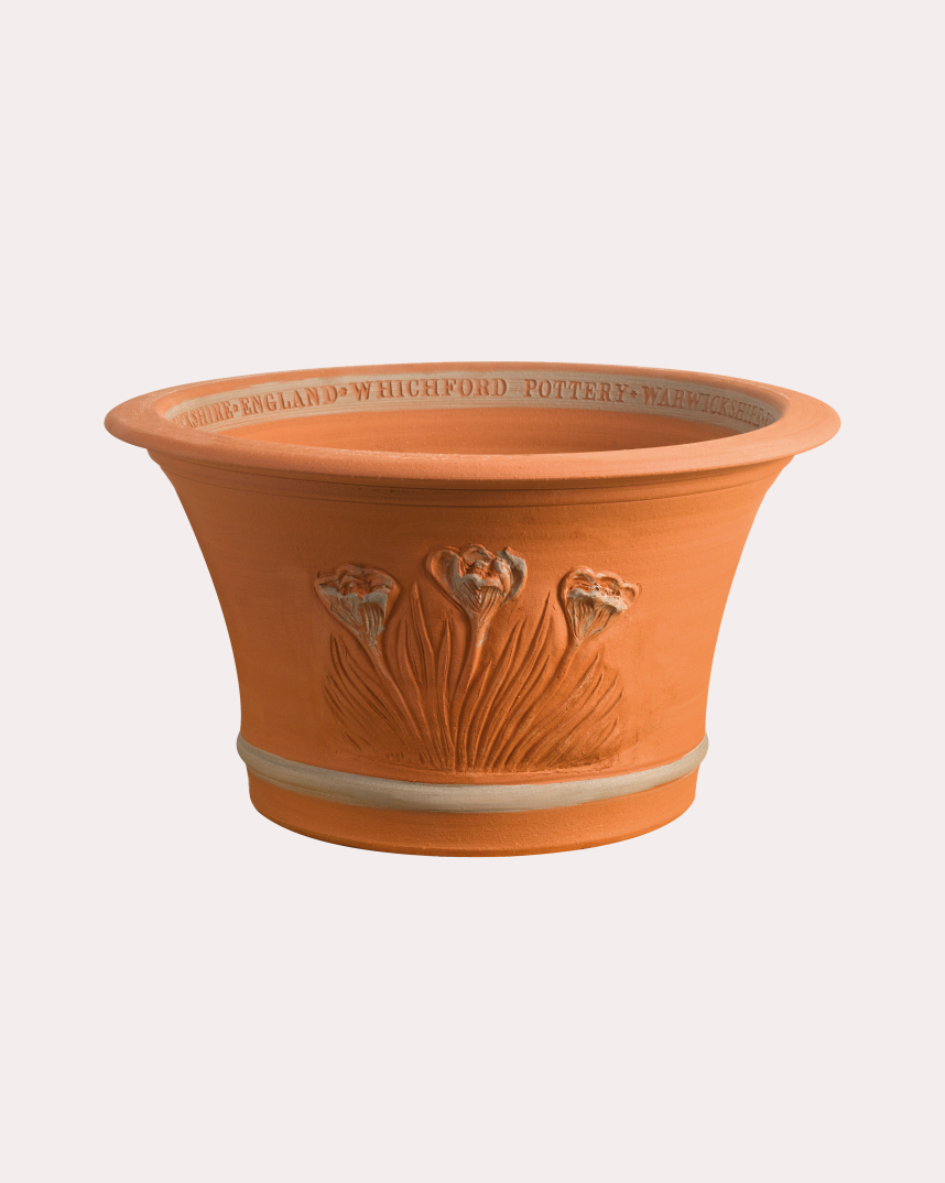 RHS Crocus Pot