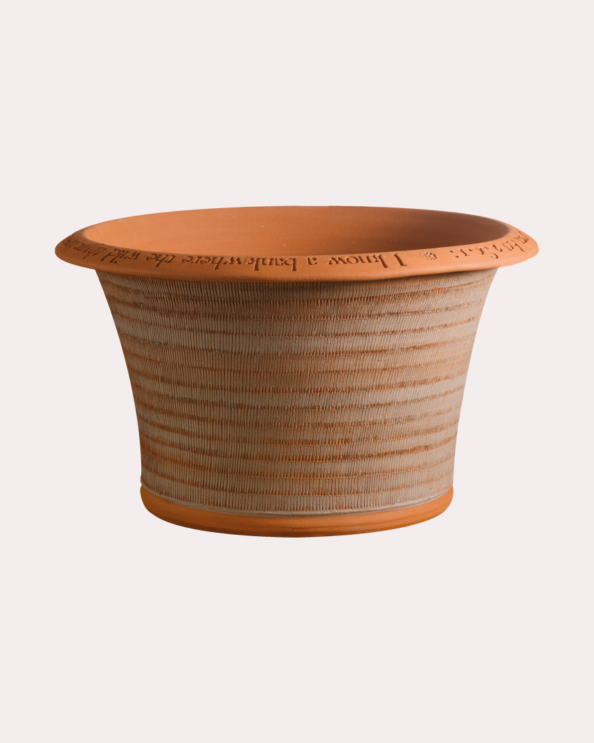 A Midsummer Night's Dream Pot