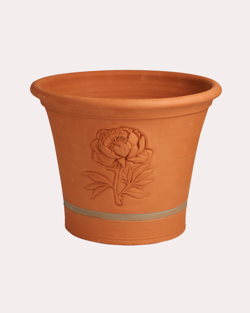 peony planter