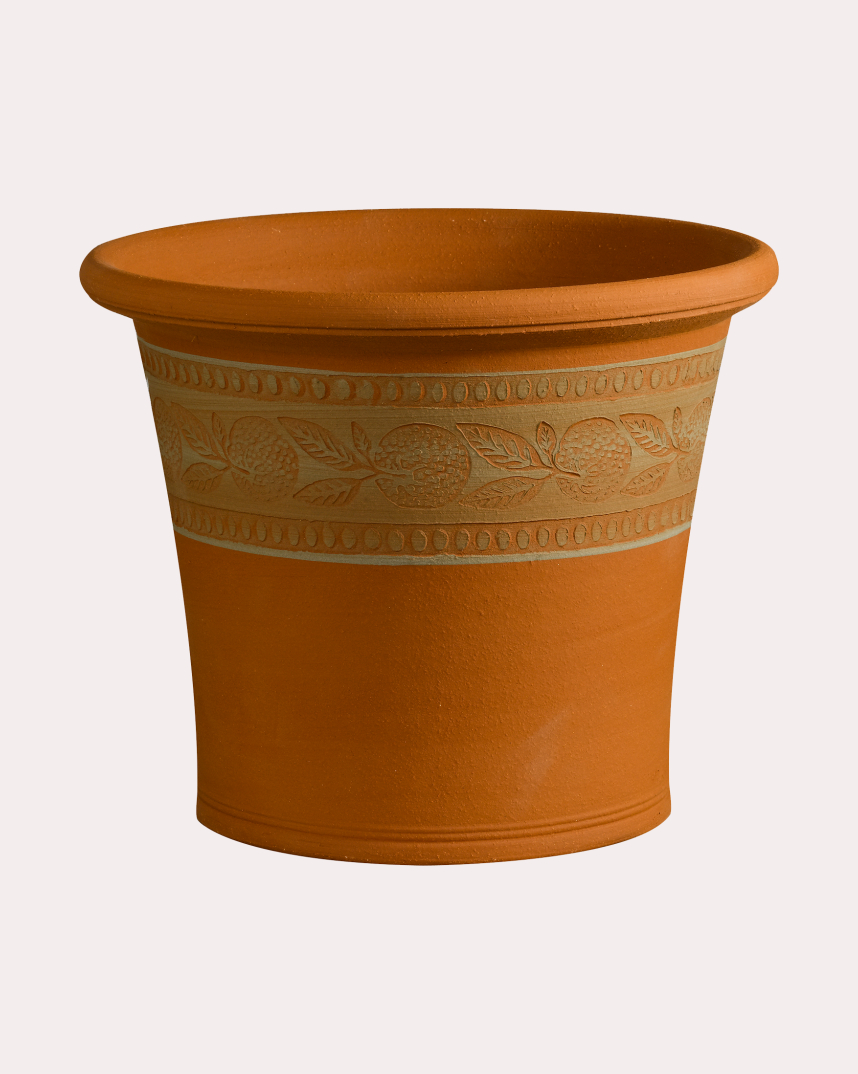Clementine Pot