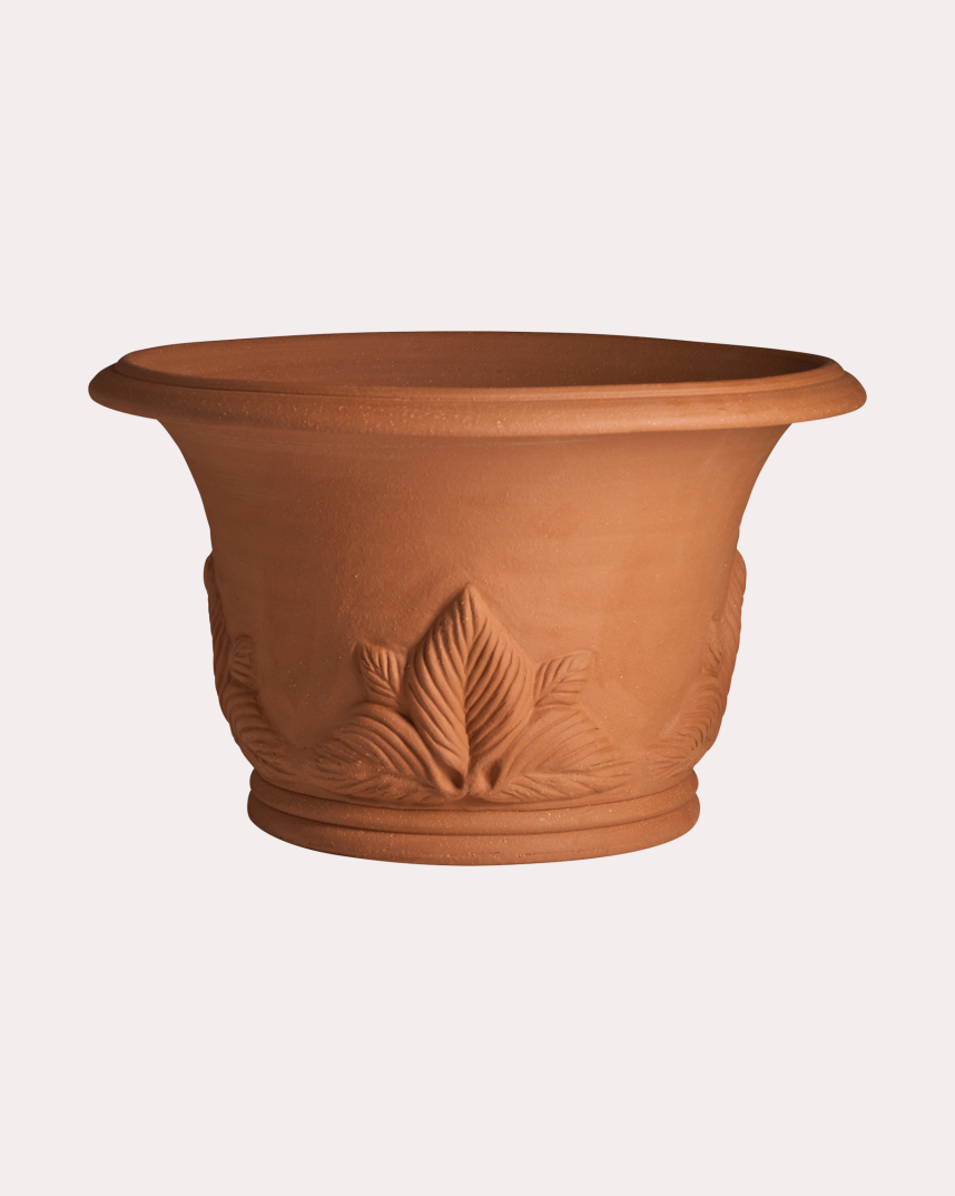 Hosta Pot Whichford Pottery