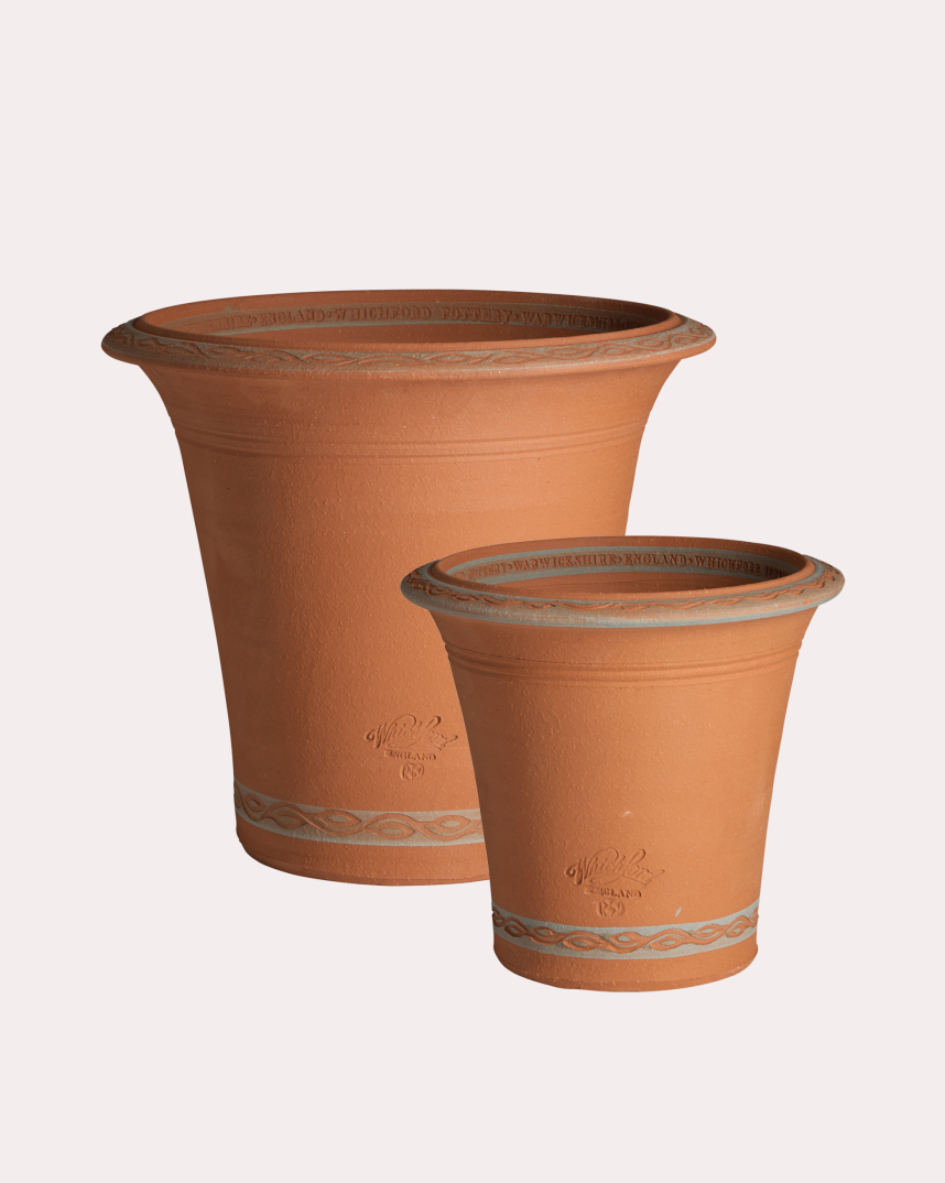 Set of Rosehip Planters