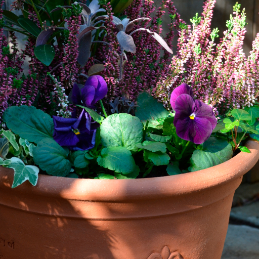 Handmade British Frostproof Flowerpots | Whichford Pottery